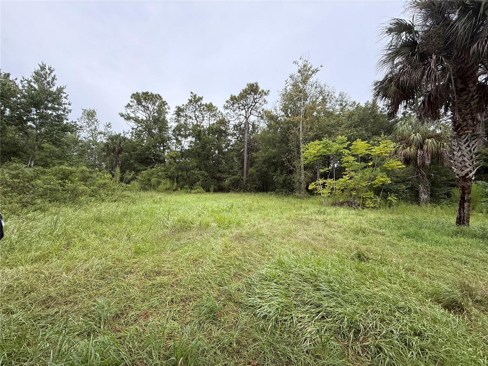 7435 W LINCOLN LN, HOMOSASSA, FL, 34448
