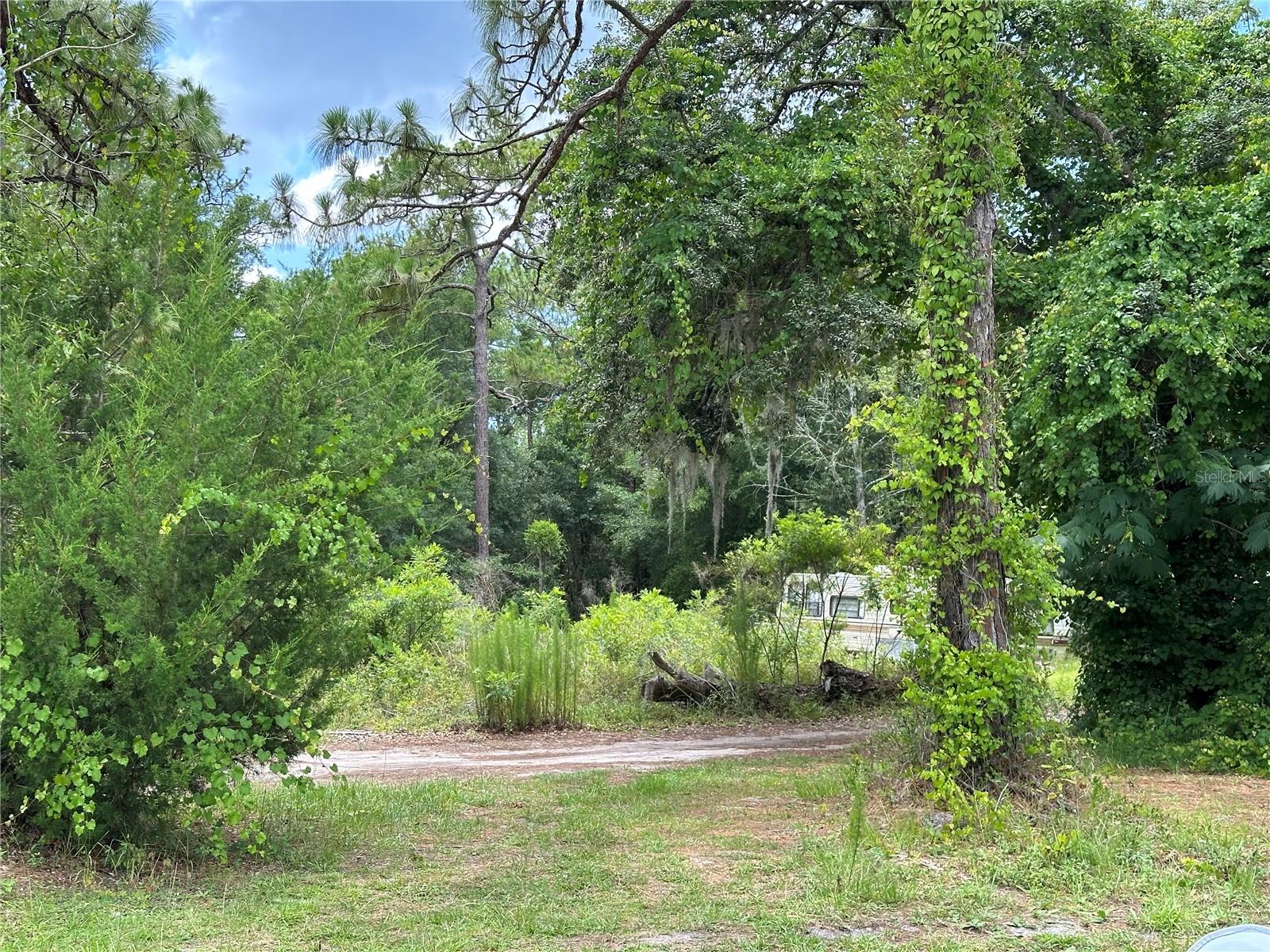 7435 W LINCOLN LN, HOMOSASSA, FL, 34448