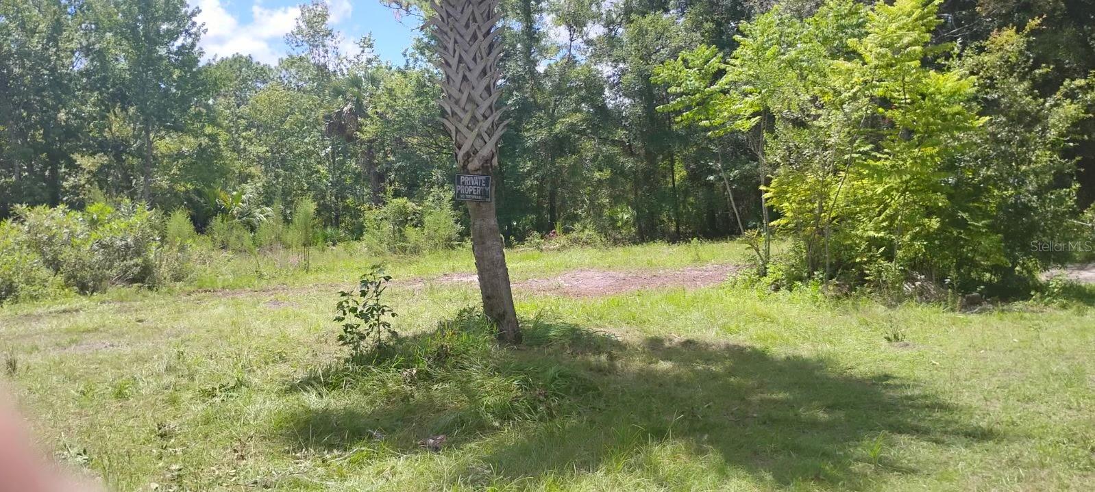 7435 W LINCOLN LN, HOMOSASSA, FL, 34448