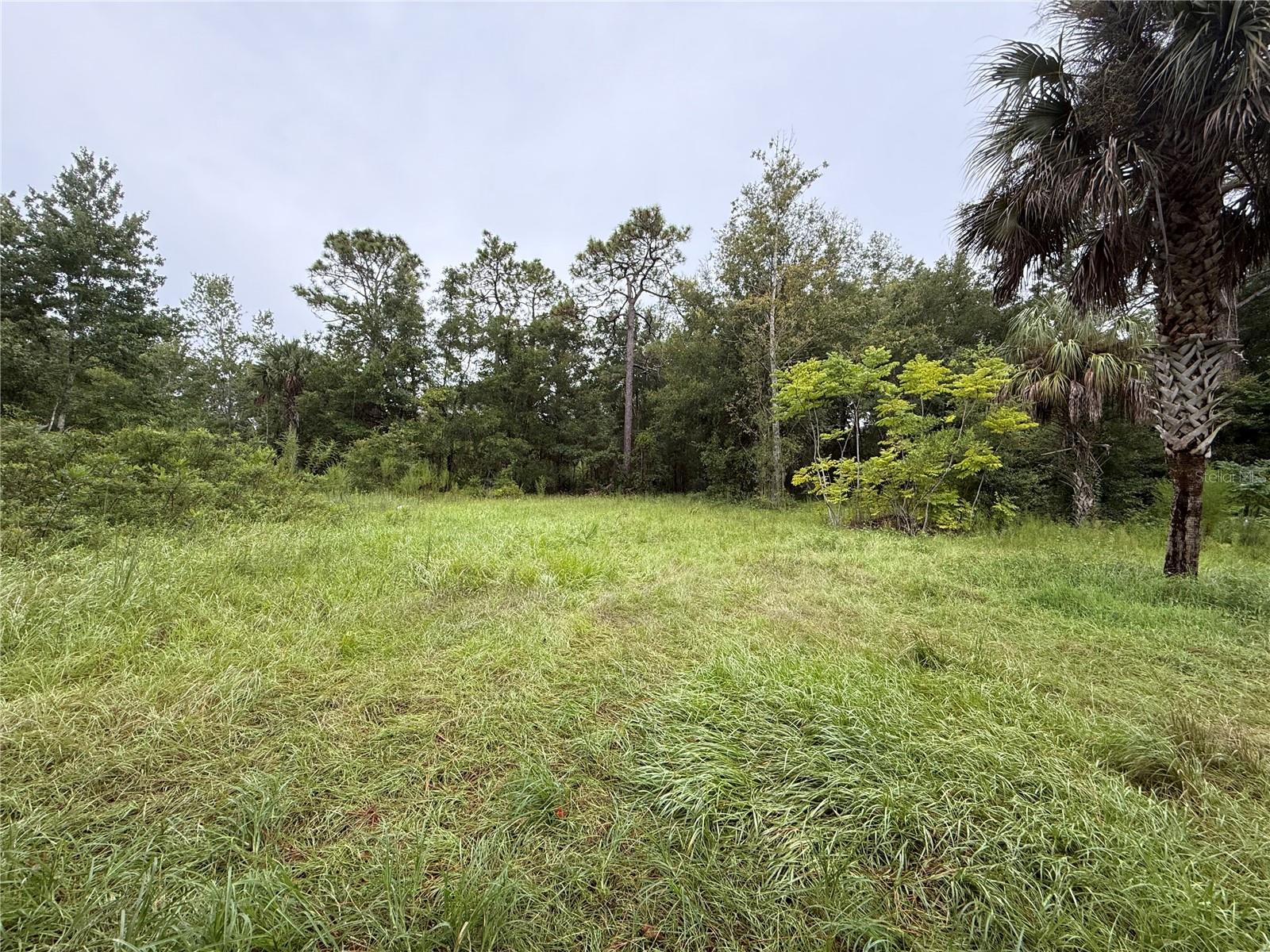 7435 W LINCOLN LN, HOMOSASSA, FL, 34448