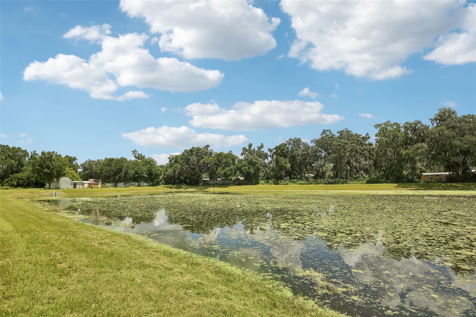3716 RADIANT MOUNTAIN DR, PLANT CITY, FL, 33565