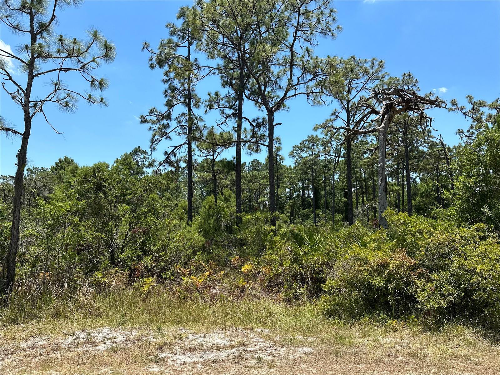 2021 EVERLAST TER, SEBRING, FL, 33875