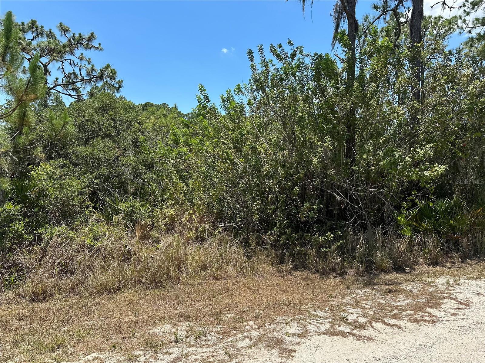 2021 EVERLAST TER, SEBRING, FL, 33875