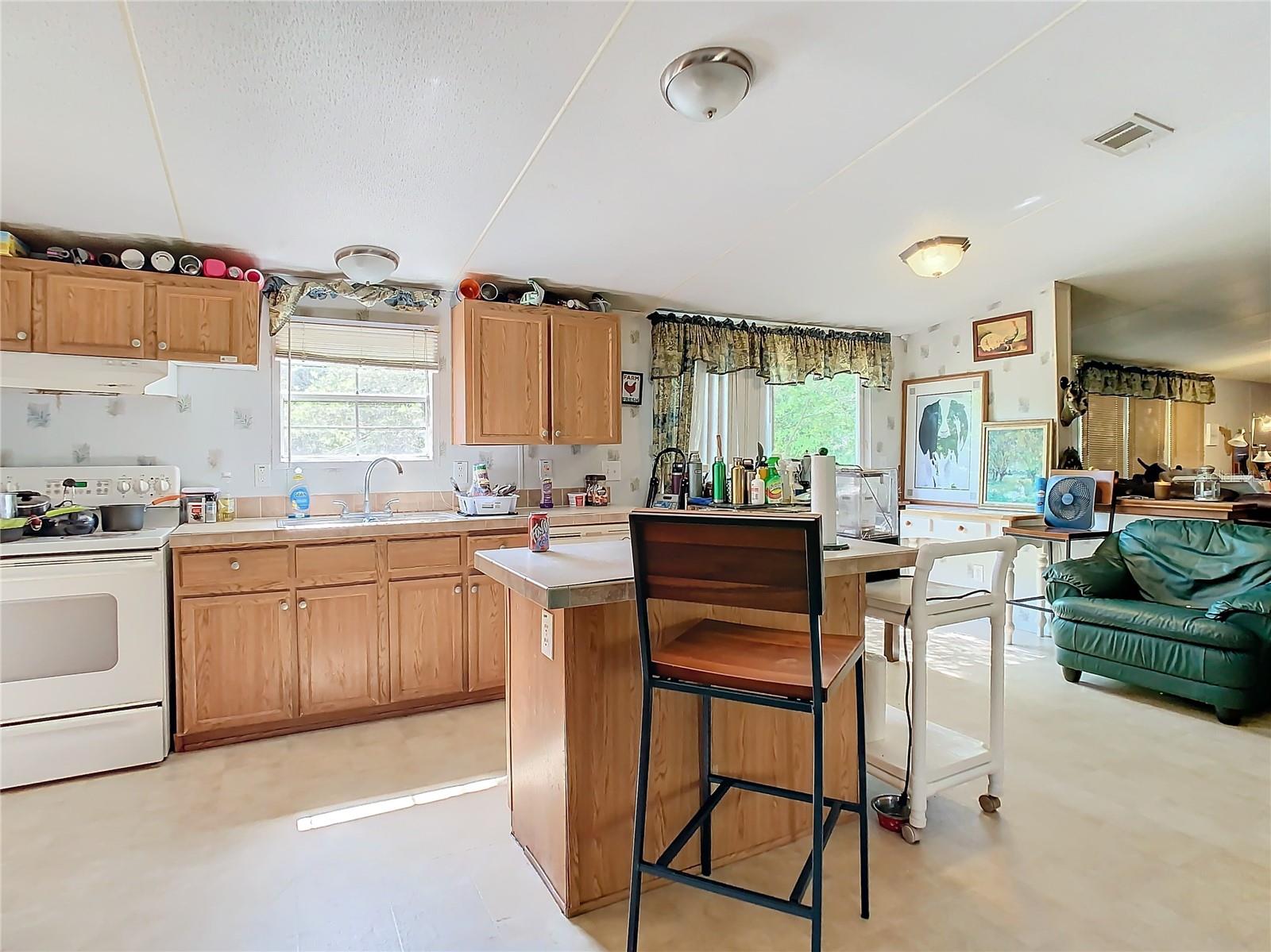 18214 DEASON DR, SPRING HILL, FL, 34610