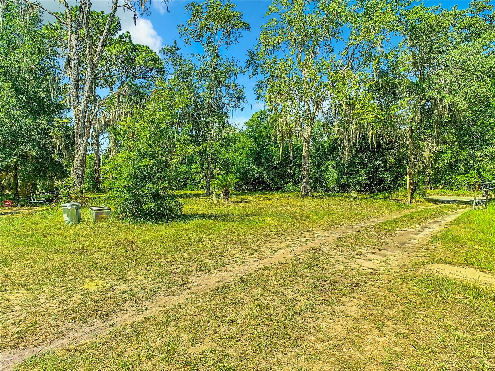 18214 DEASON DR, SPRING HILL, FL, 34610