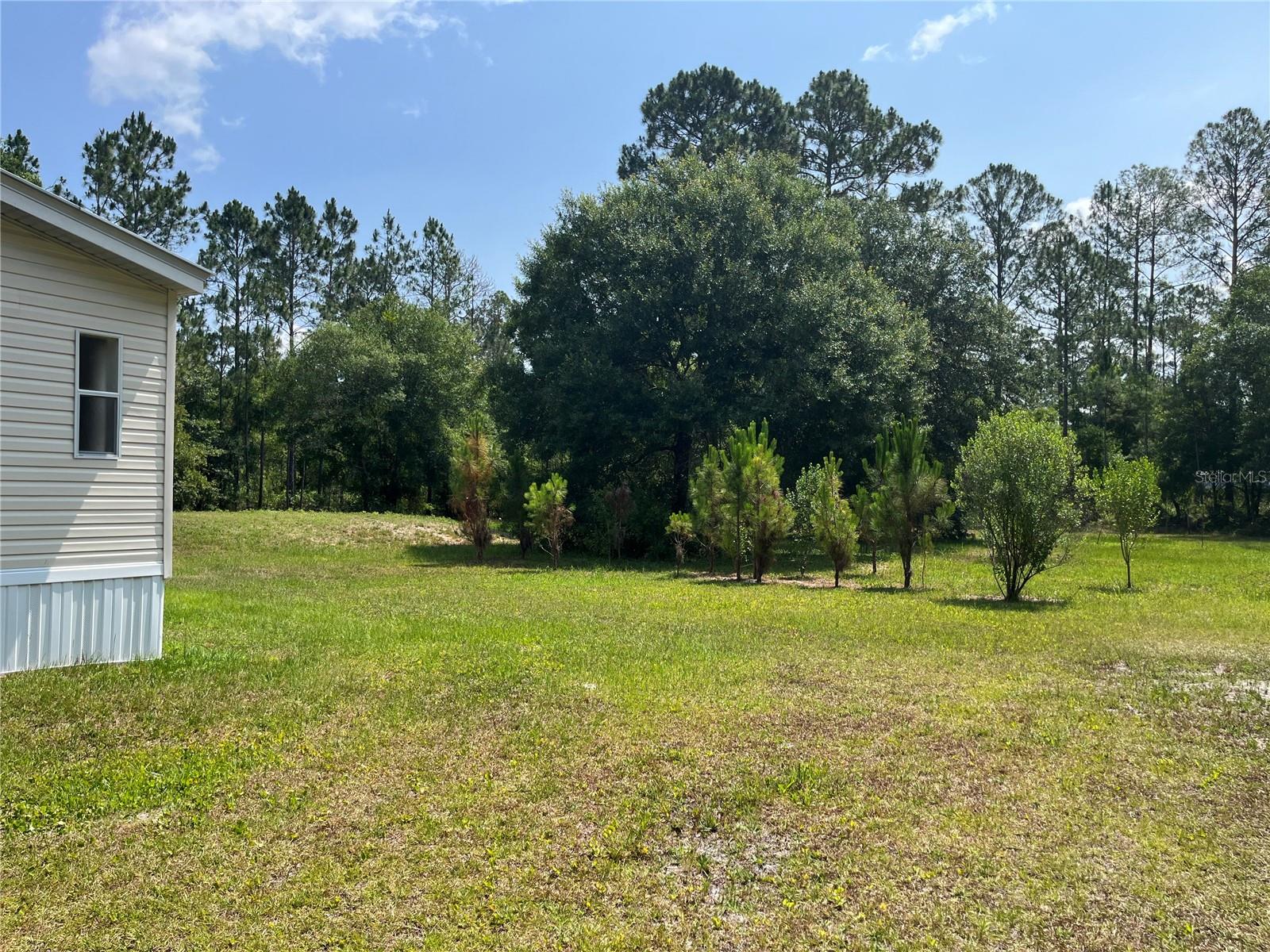 10350 BECKENGER AVE, HASTINGS, FL, 32145