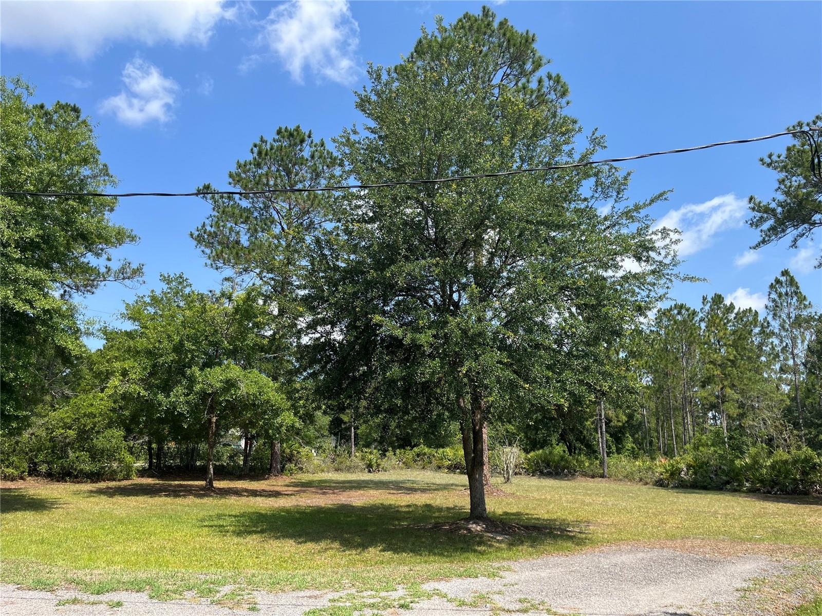 10350 BECKENGER AVE, HASTINGS, FL, 32145
