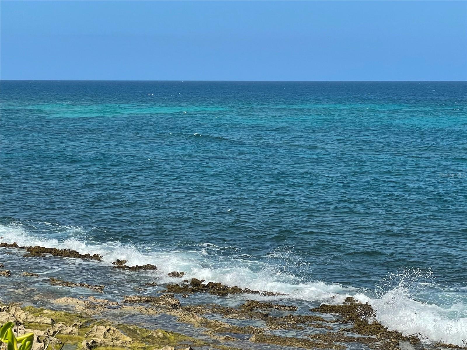 PR9106566 Property Photo