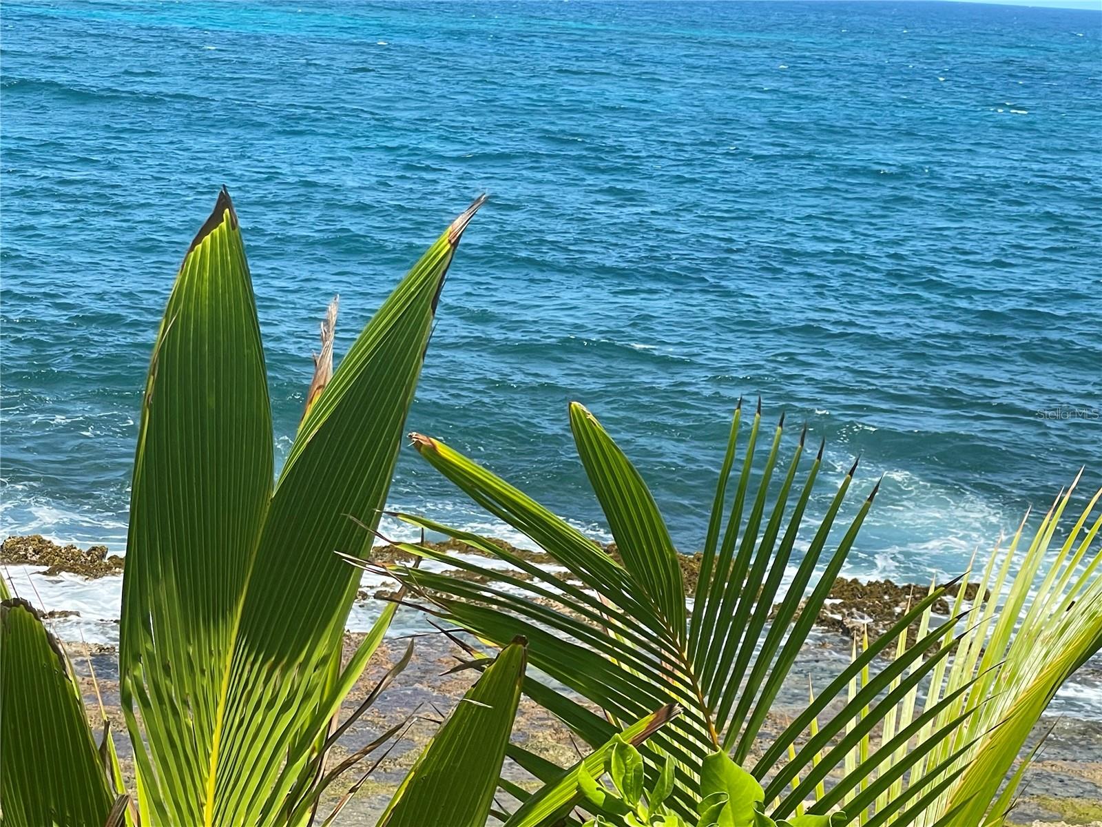 PR9106566 Property Photo