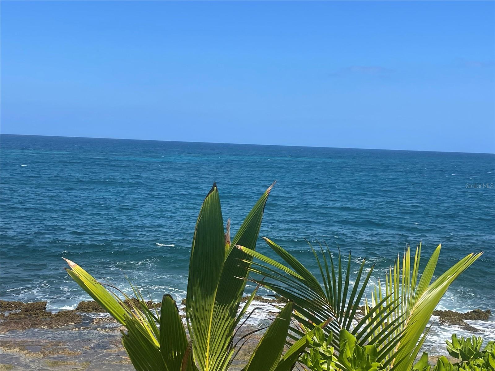 PR9106566 Property Photo