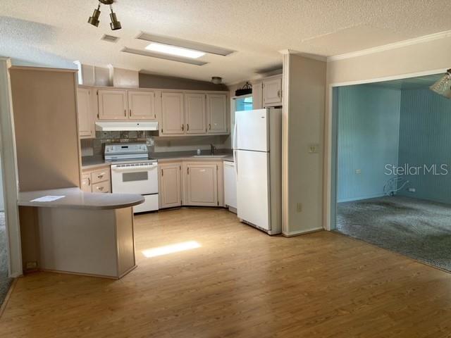 5191 LIBERTY CT, WILDWOOD, FL, 34785