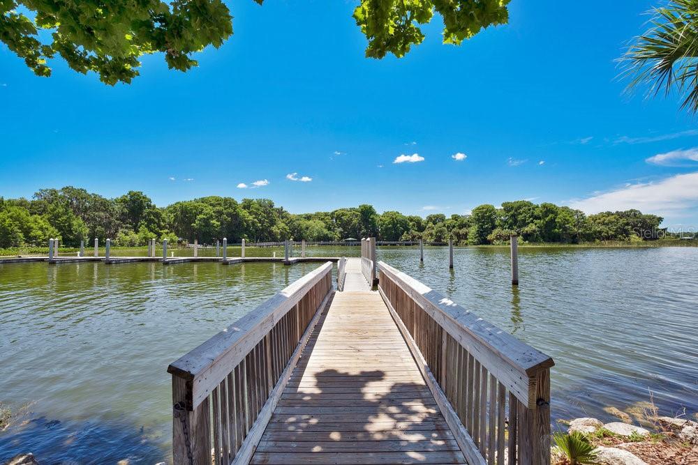 7451 SADLER RD, MOUNT DORA, FL, 32757