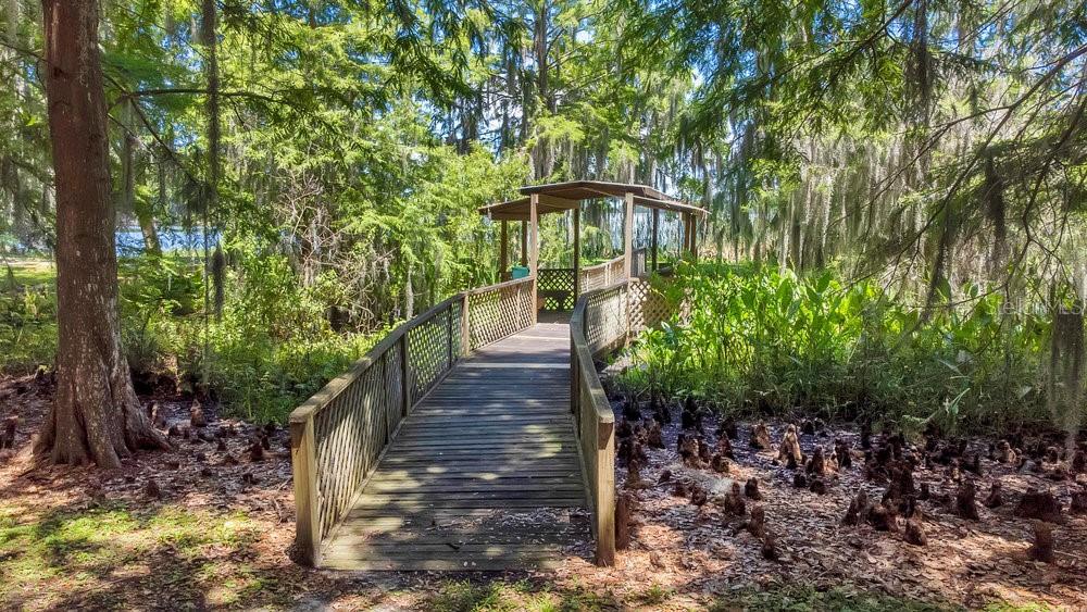 7451 SADLER RD, MOUNT DORA, FL, 32757