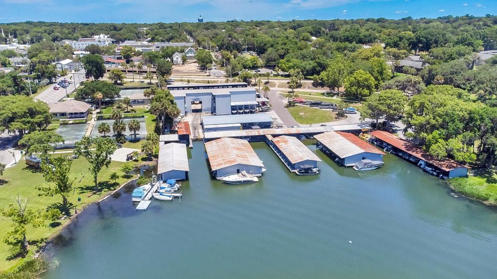 7451 SADLER RD, MOUNT DORA, FL, 32757