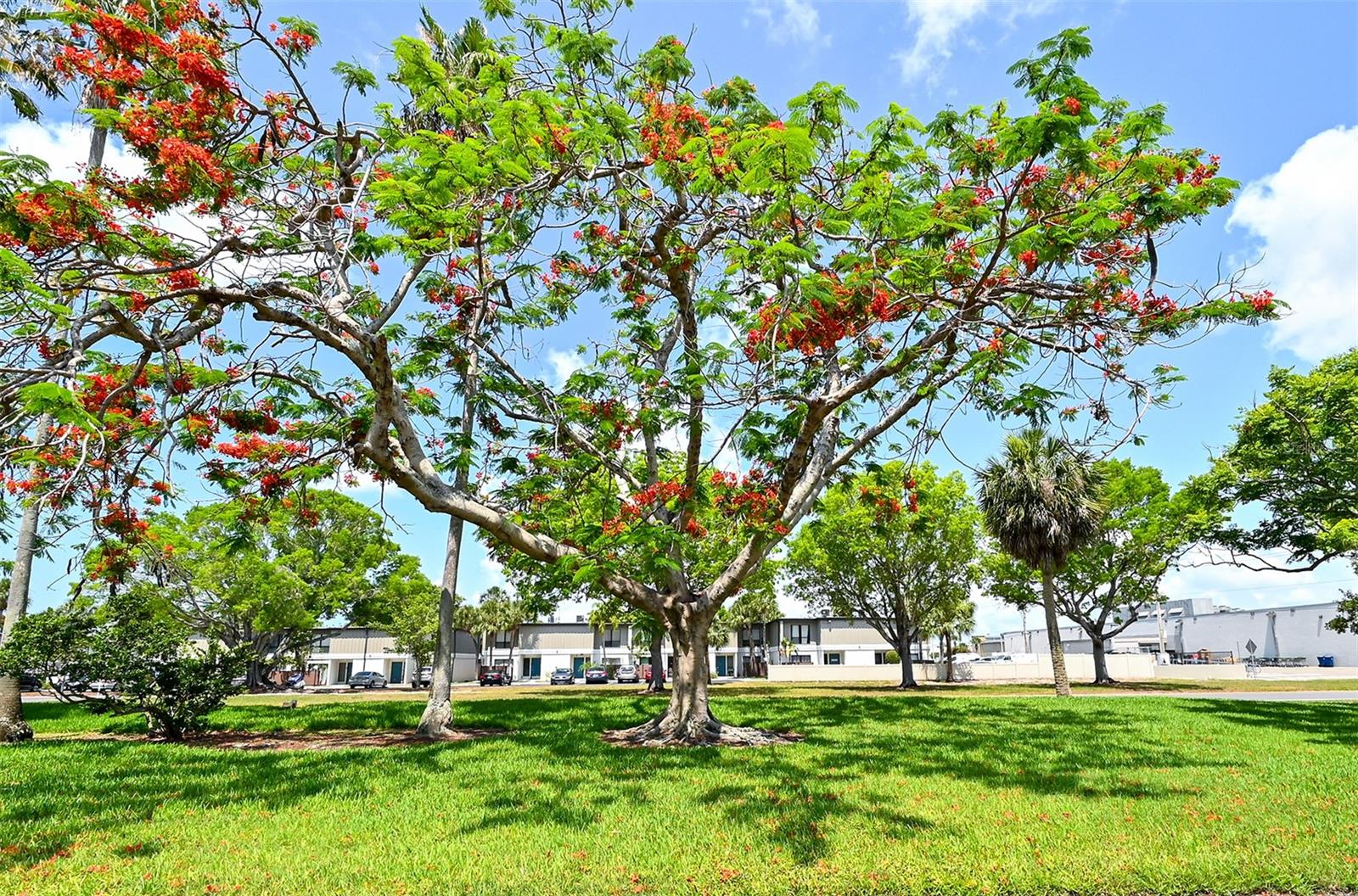 3981 MACEACHEN BLVD #330, SARASOTA, FL, 34233