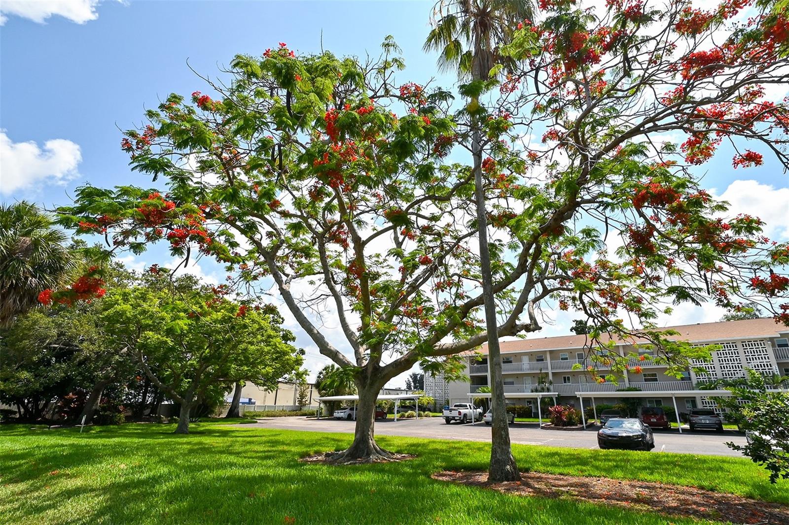 3981 MACEACHEN BLVD #330, SARASOTA, FL, 34233