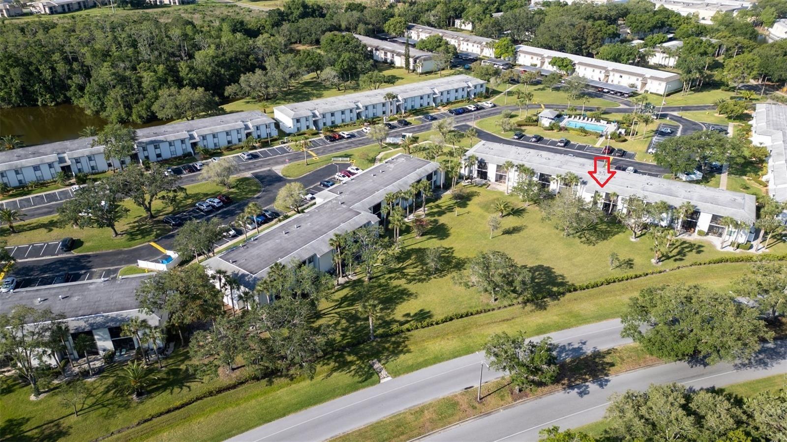 110 W CYPRESS CT #82, OLDSMAR, FL, 34677