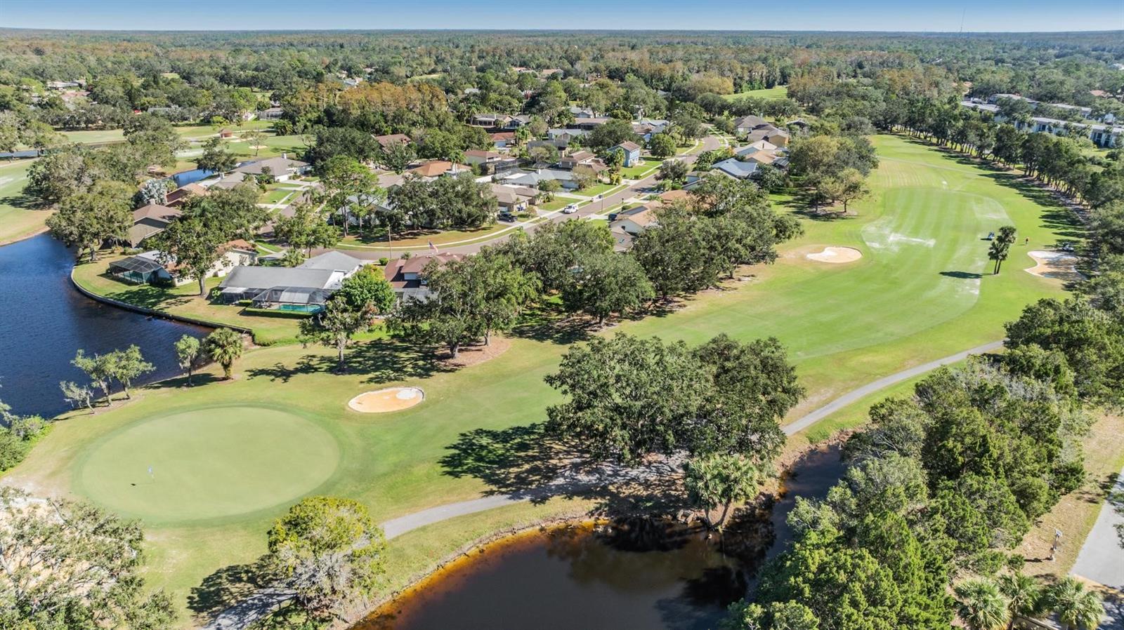 110 W CYPRESS CT #82, OLDSMAR, FL, 34677