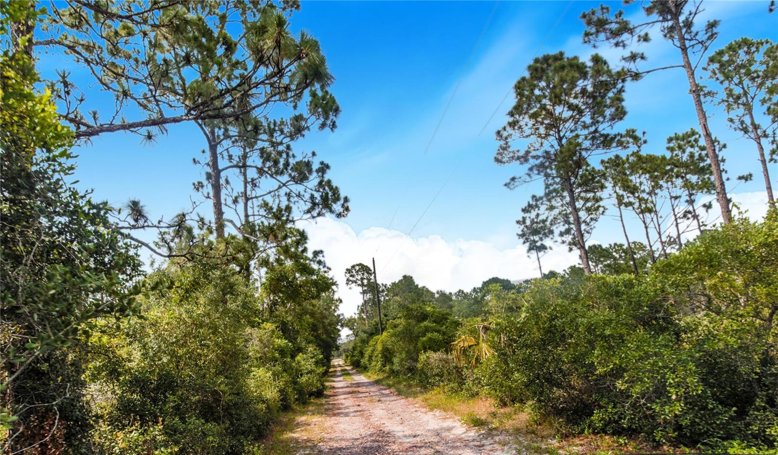 12510 LAKE HATCHINEHA RD, HAINES CITY, FL, 33844