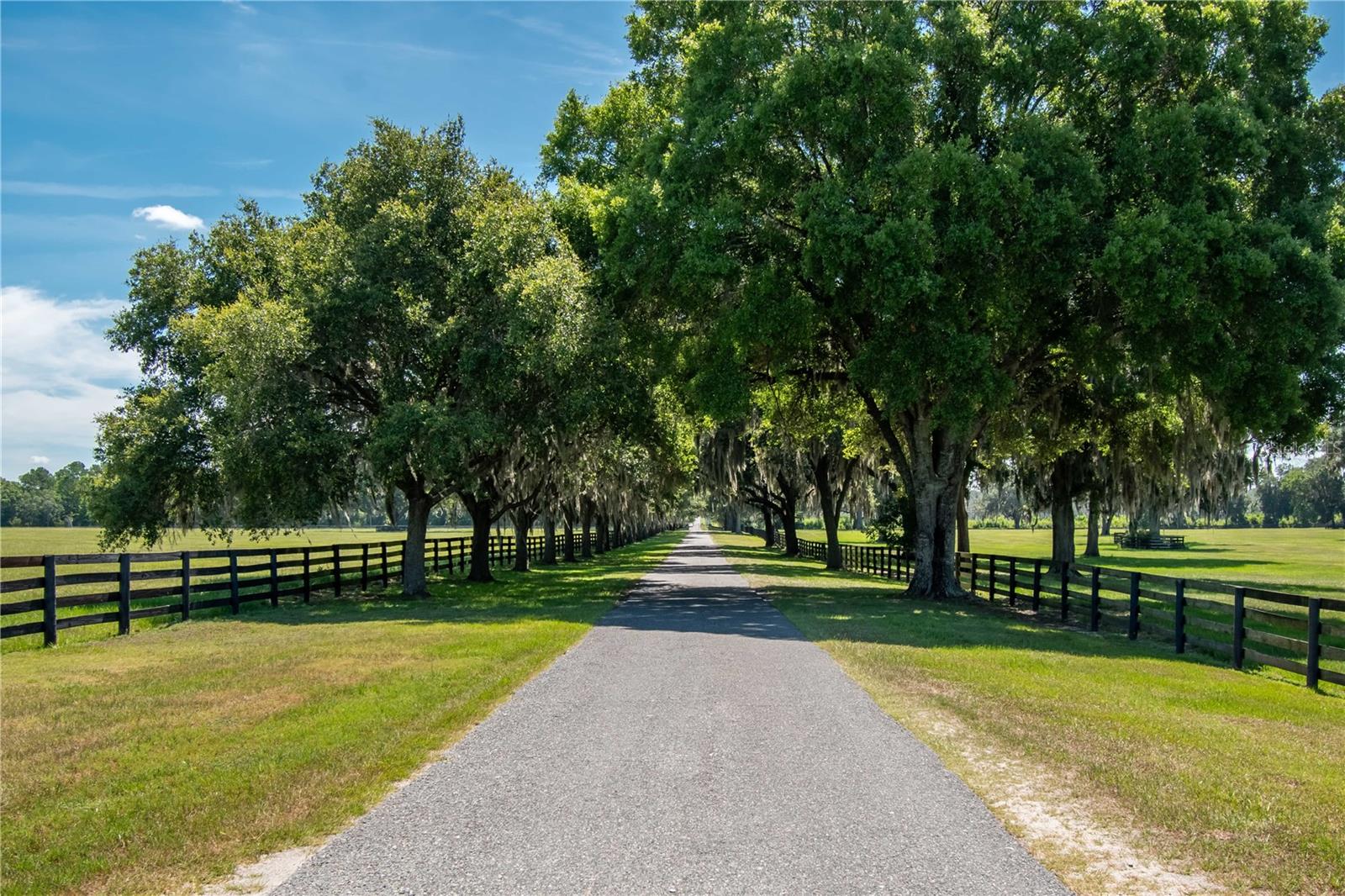 OM679448 Property Photo