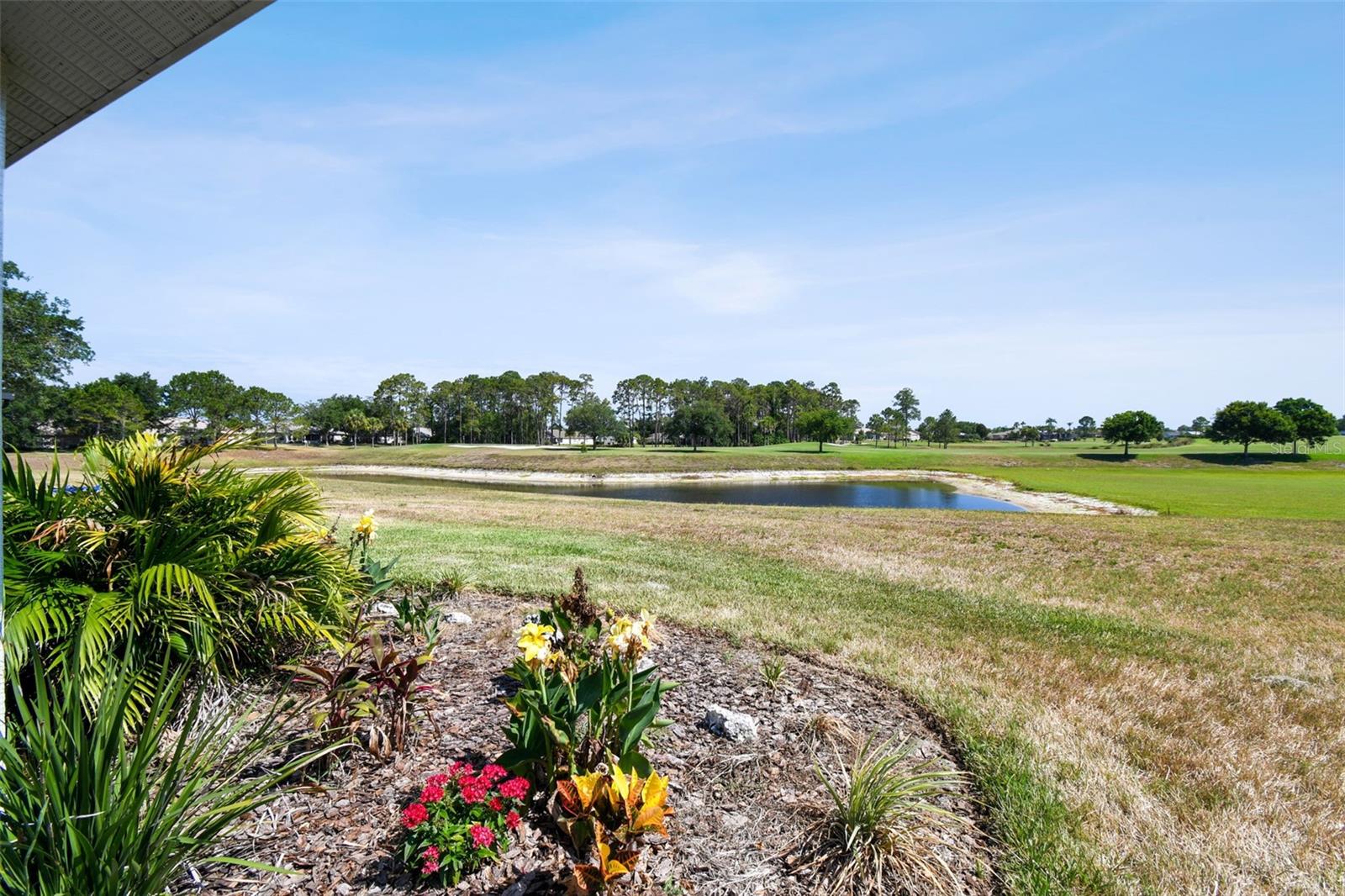11131 HOLLANDER AVE, HUDSON, FL, 34667