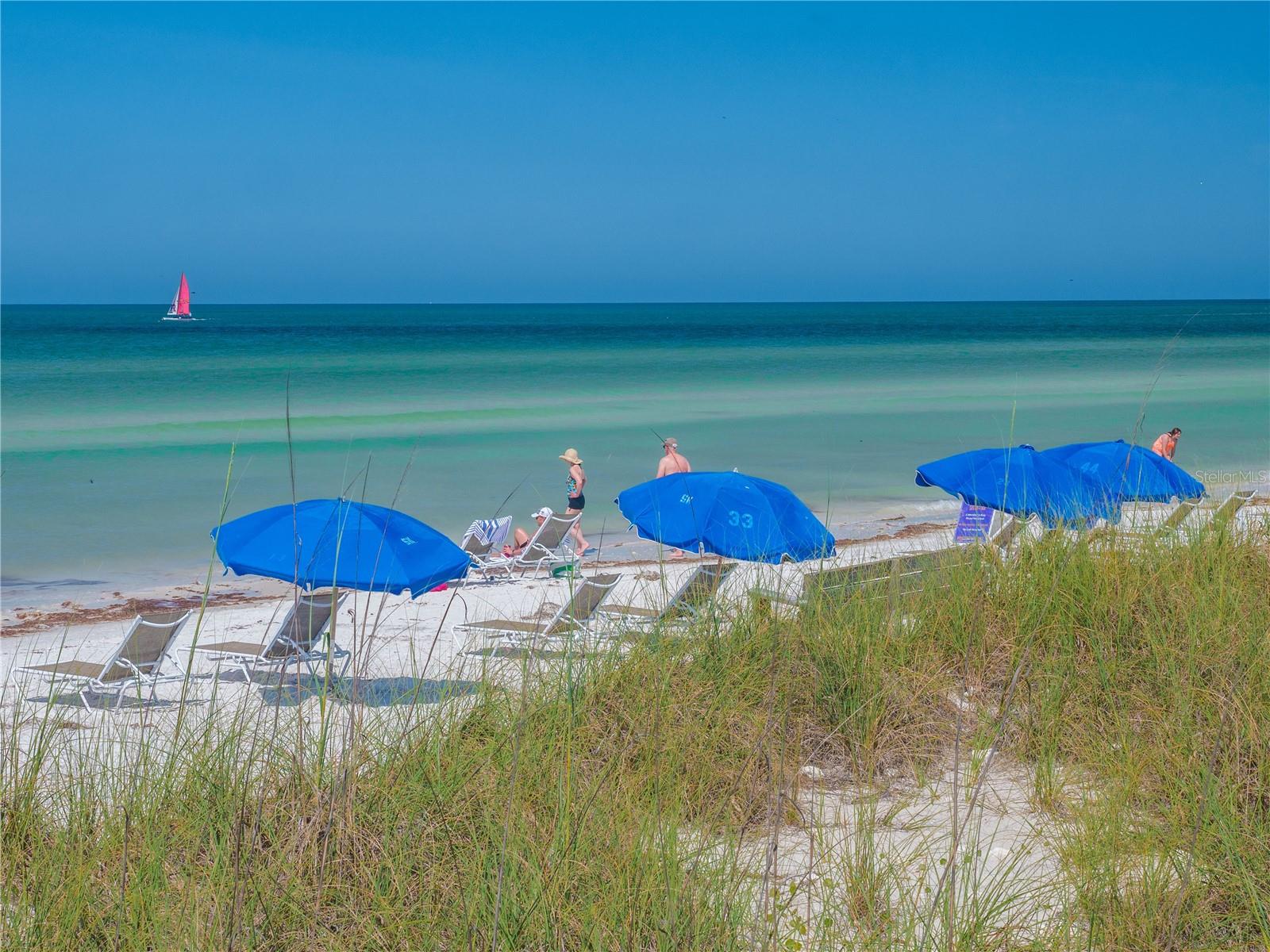 1414 BAYSHORE BLVD #309, DUNEDIN, FL, 34698