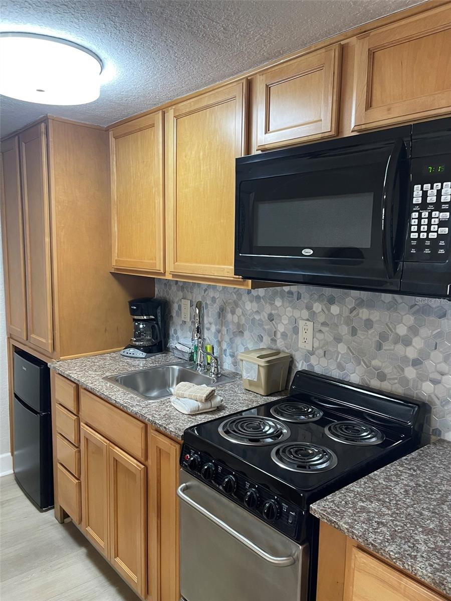 1414 BAYSHORE BLVD #309, DUNEDIN, FL, 34698