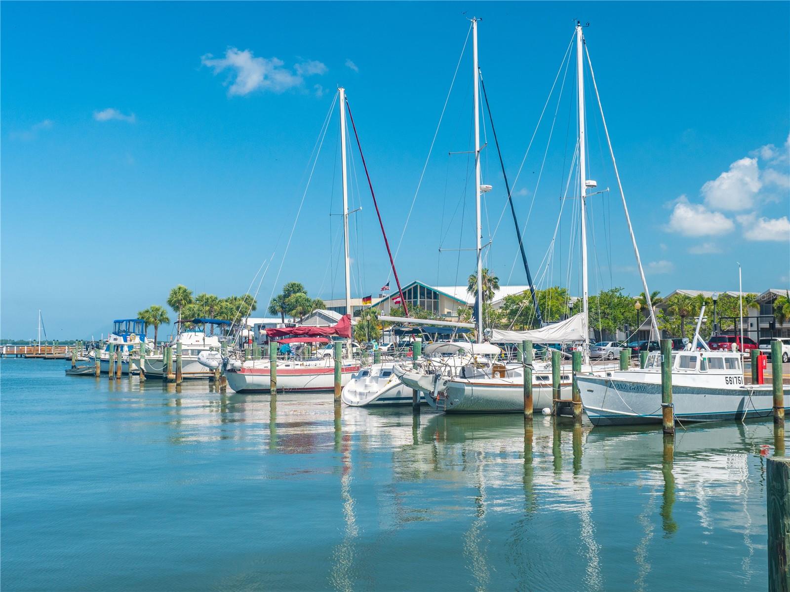 1414 BAYSHORE BLVD #309, DUNEDIN, FL, 34698
