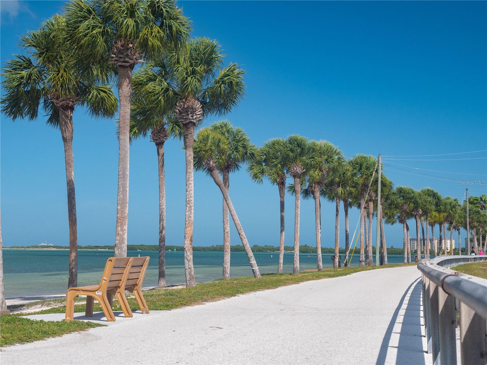 1414 BAYSHORE BLVD #309, DUNEDIN, FL, 34698