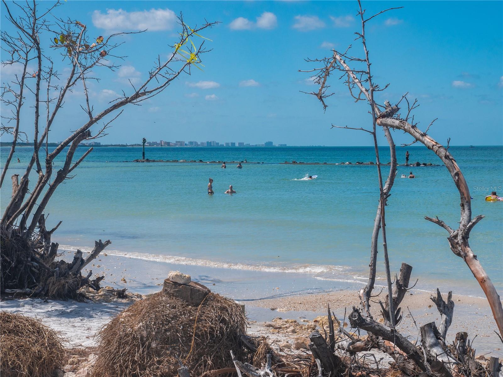 1414 BAYSHORE BLVD #309, DUNEDIN, FL, 34698