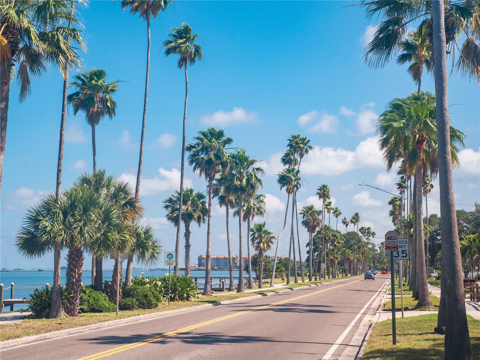 1414 BAYSHORE BLVD #309, DUNEDIN, FL, 34698