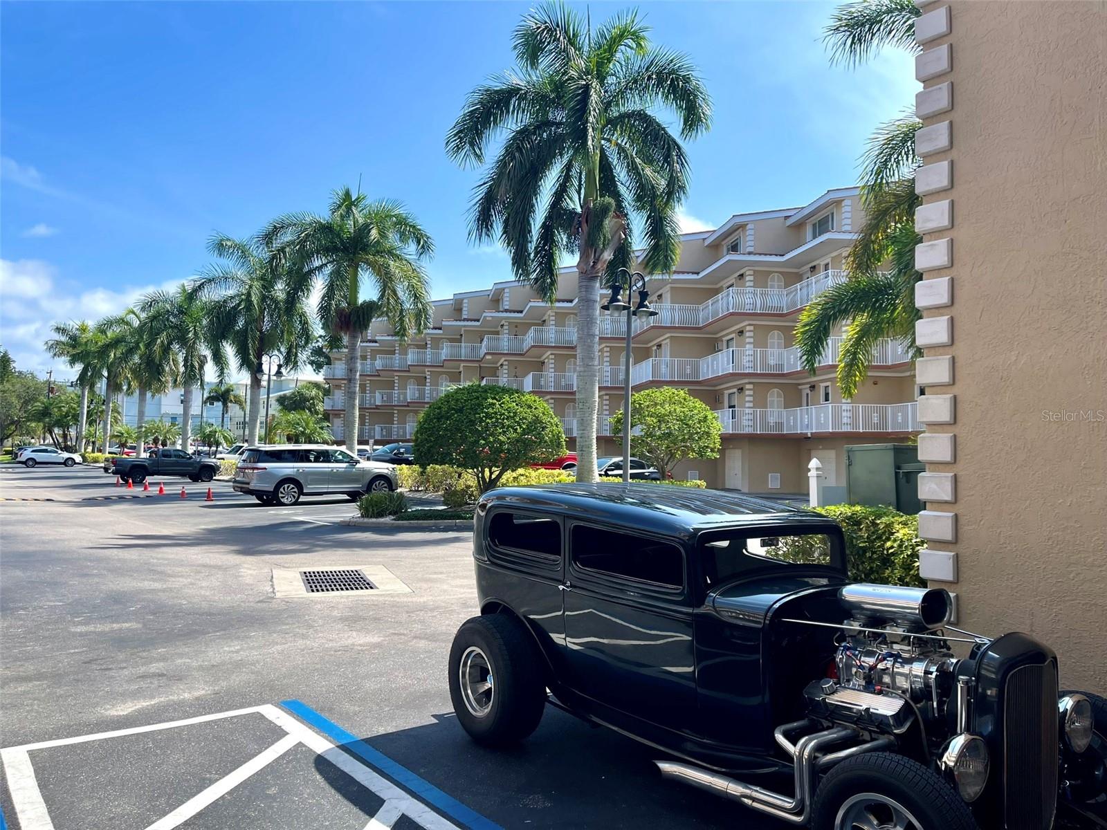 1414 BAYSHORE BLVD #309, DUNEDIN, FL, 34698