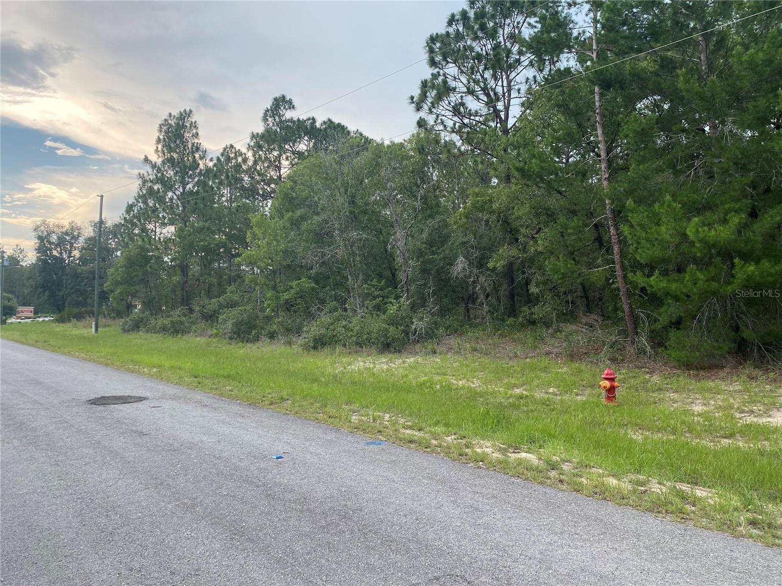 TBD SW 136 ST, OCALA, FL, 34473