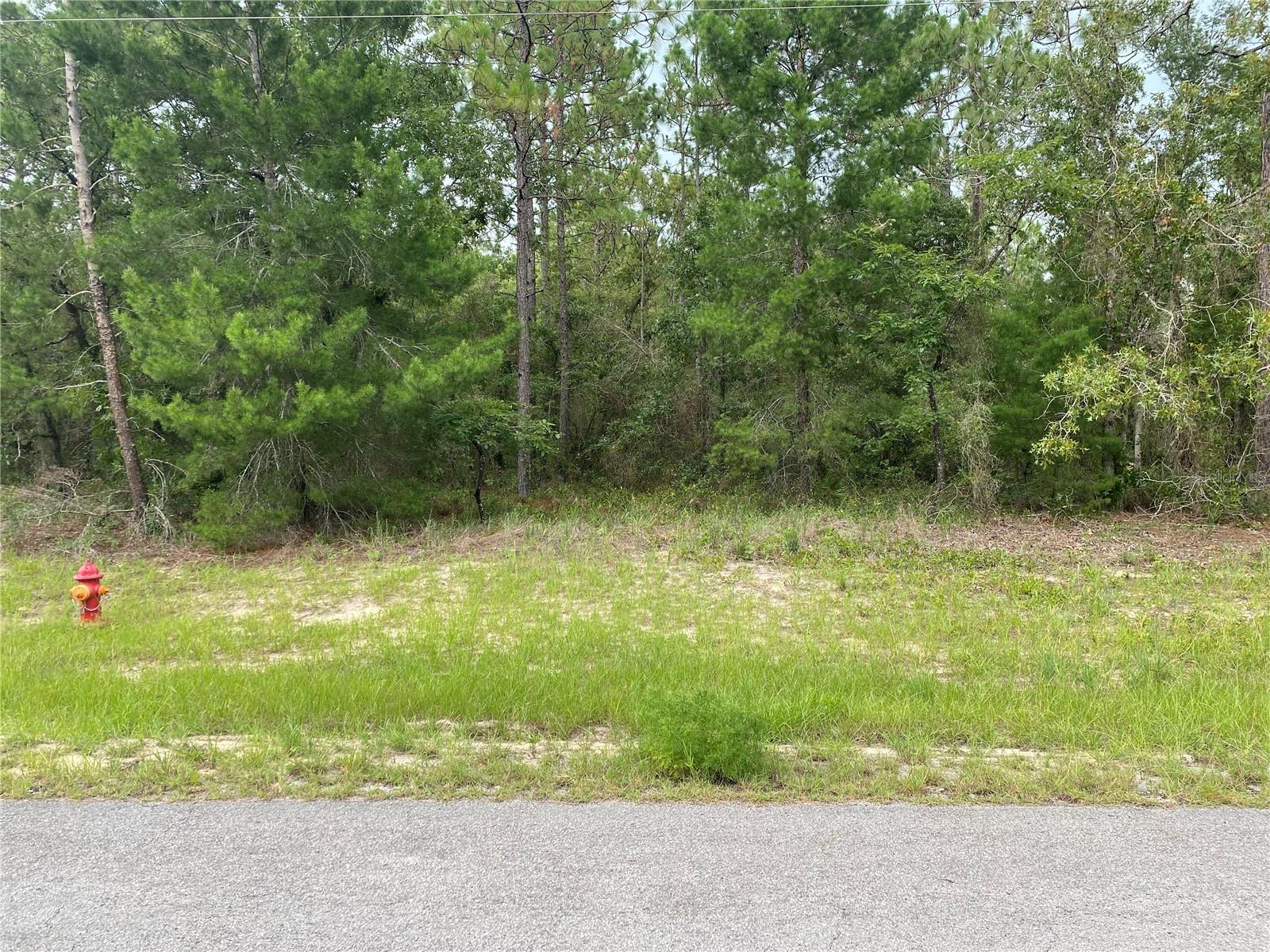 TBD SW 136 ST, OCALA, FL, 34473