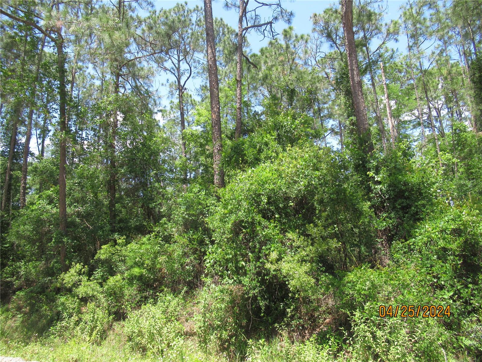 2098 COUNTY ROAD 305, BUNNELL, FL, 32110