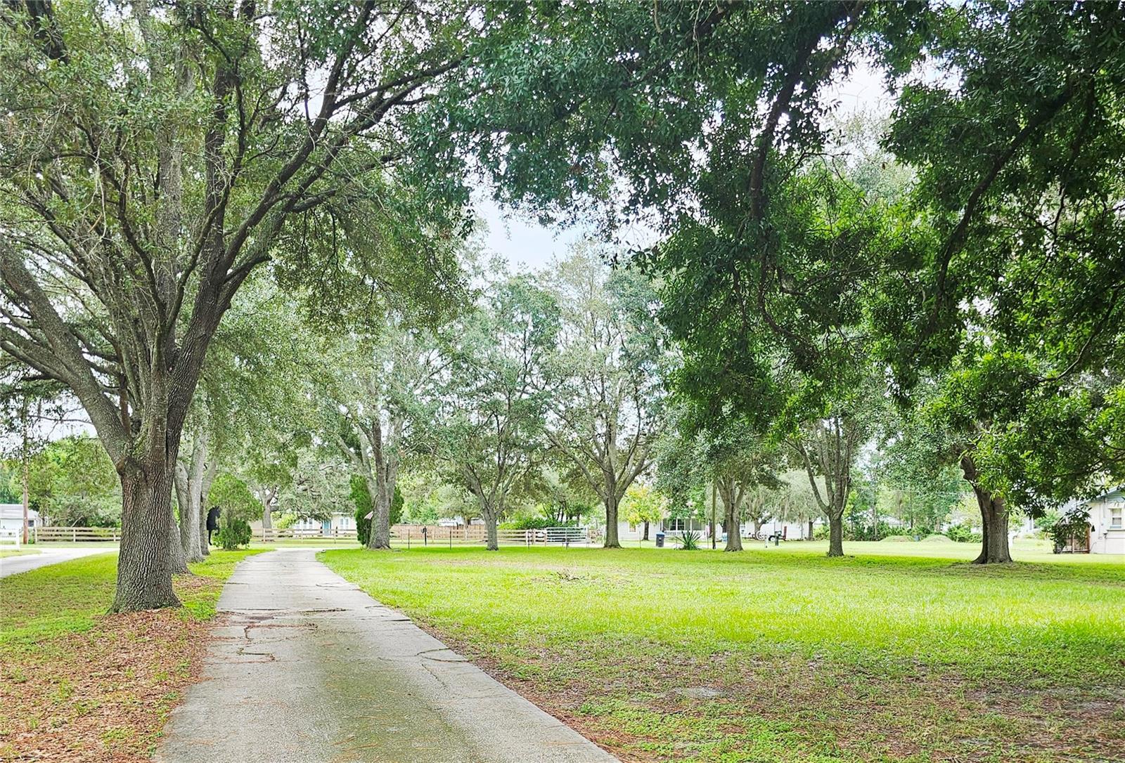 4210 DORWOOD DR, ORLANDO, FL, 32818