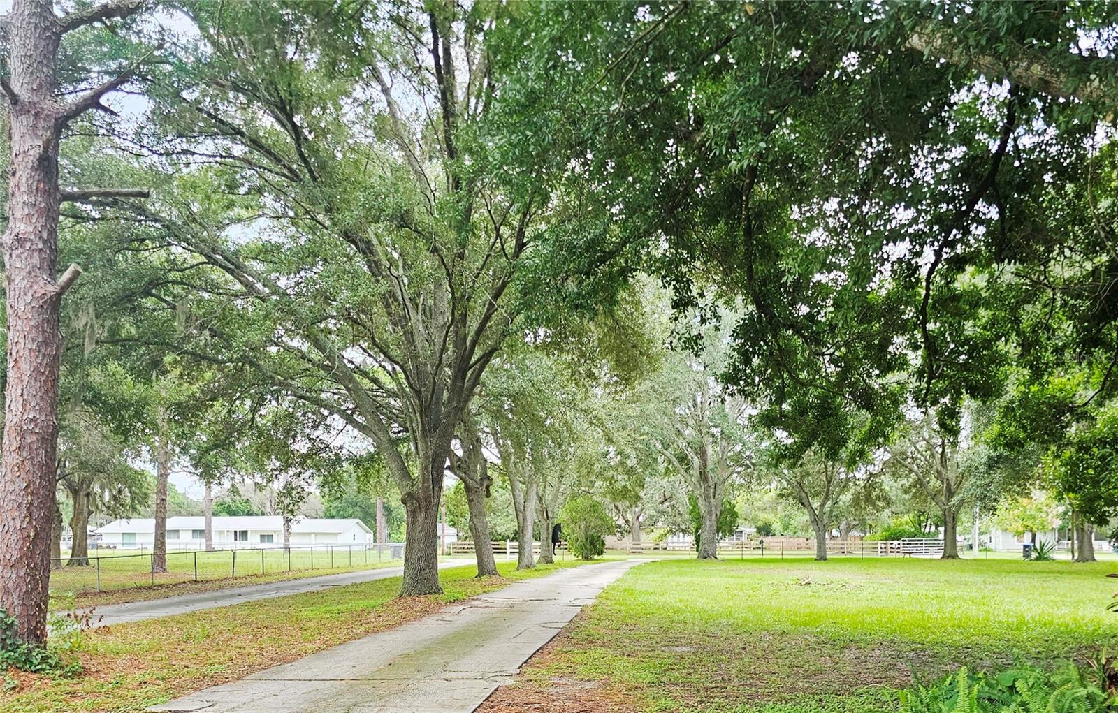 4210 DORWOOD DR, ORLANDO, FL, 32818