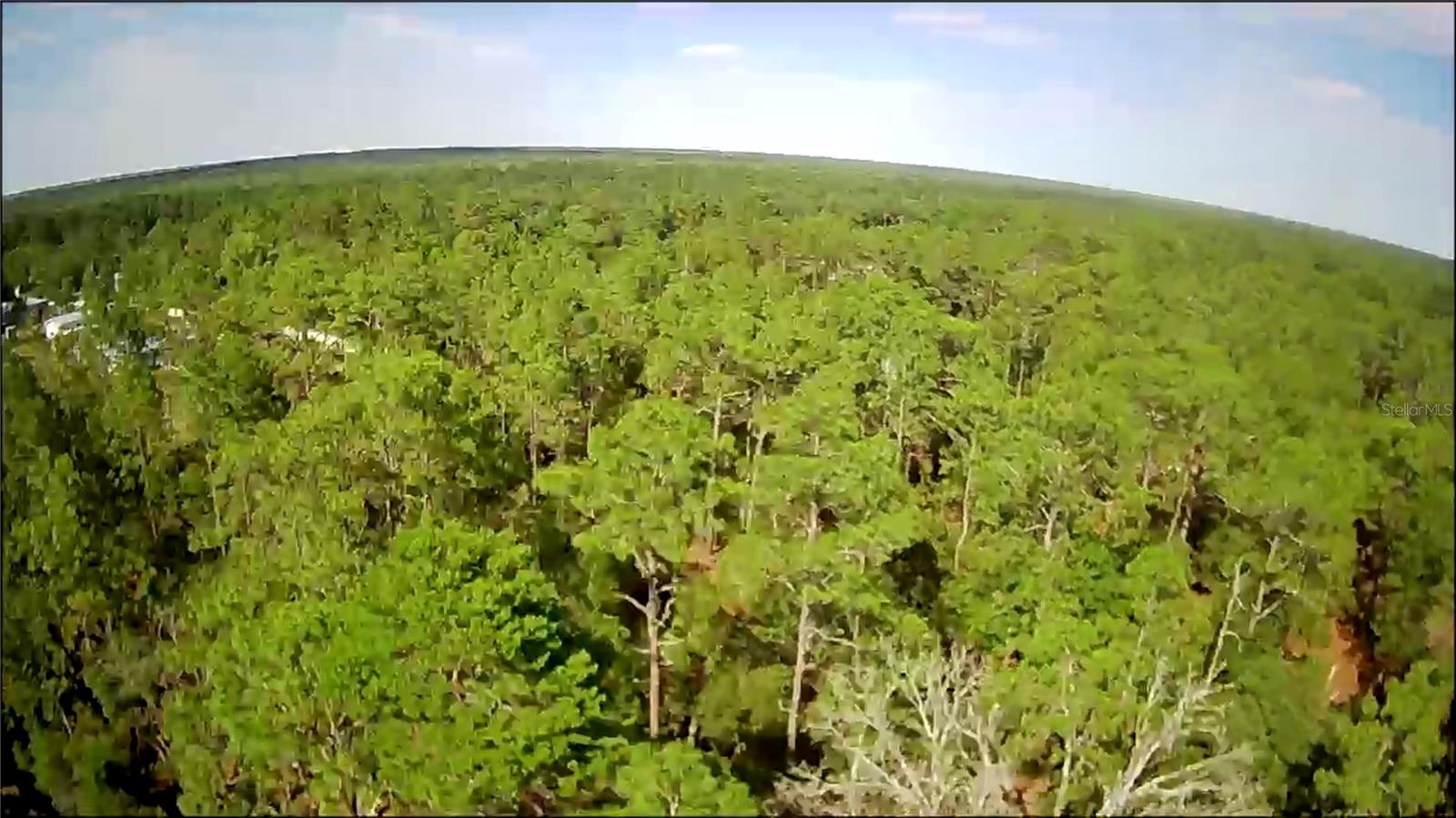 Lot 12 SW 87TH CIR, OCALA, FL, 34474