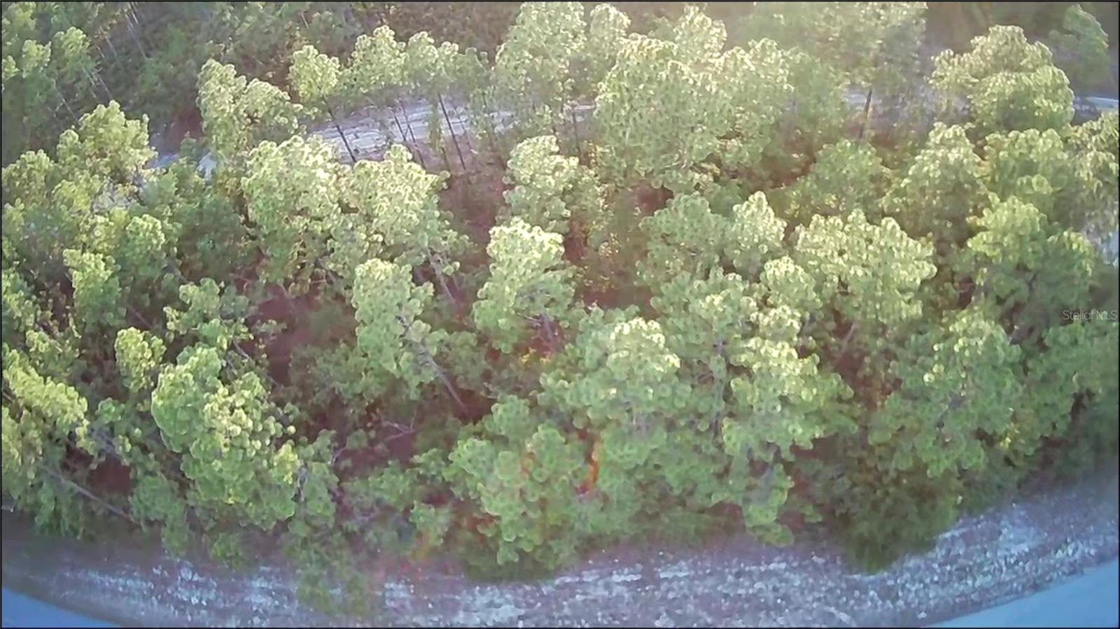 Lot 12 SW 87TH CIR, OCALA, FL, 34474