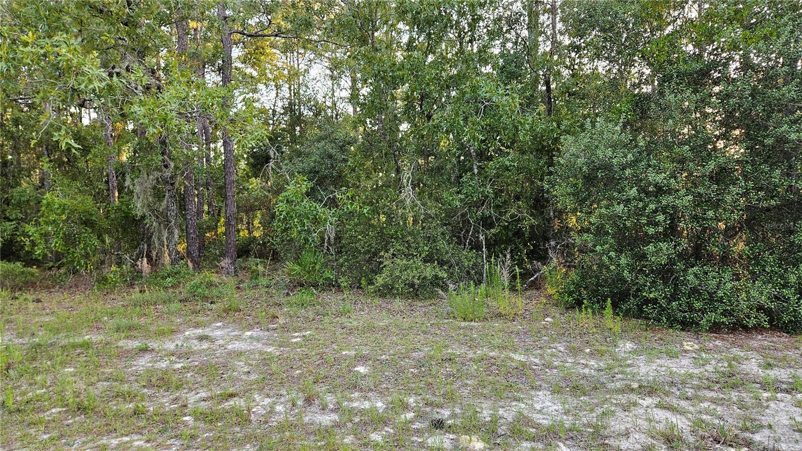 Lot 12 SW 87TH CIR, OCALA, FL, 34474
