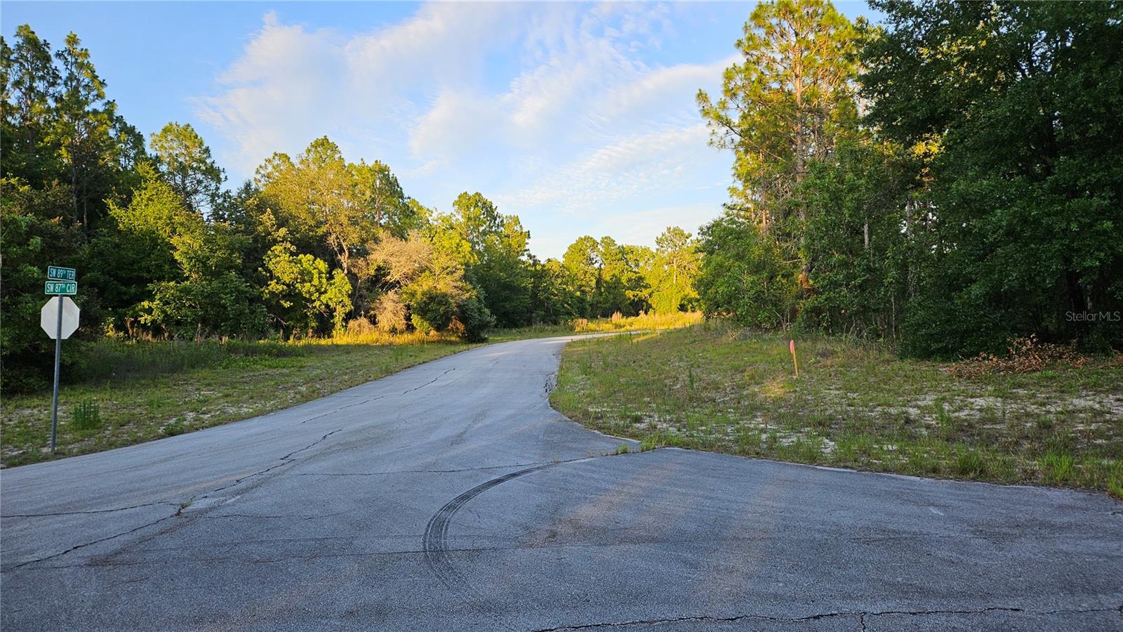 Lot 12 SW 87TH CIR, OCALA, FL, 34474