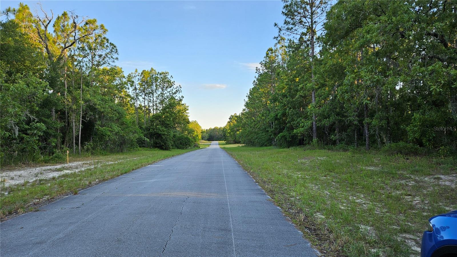 Lot 12 SW 87TH CIR, OCALA, FL, 34474