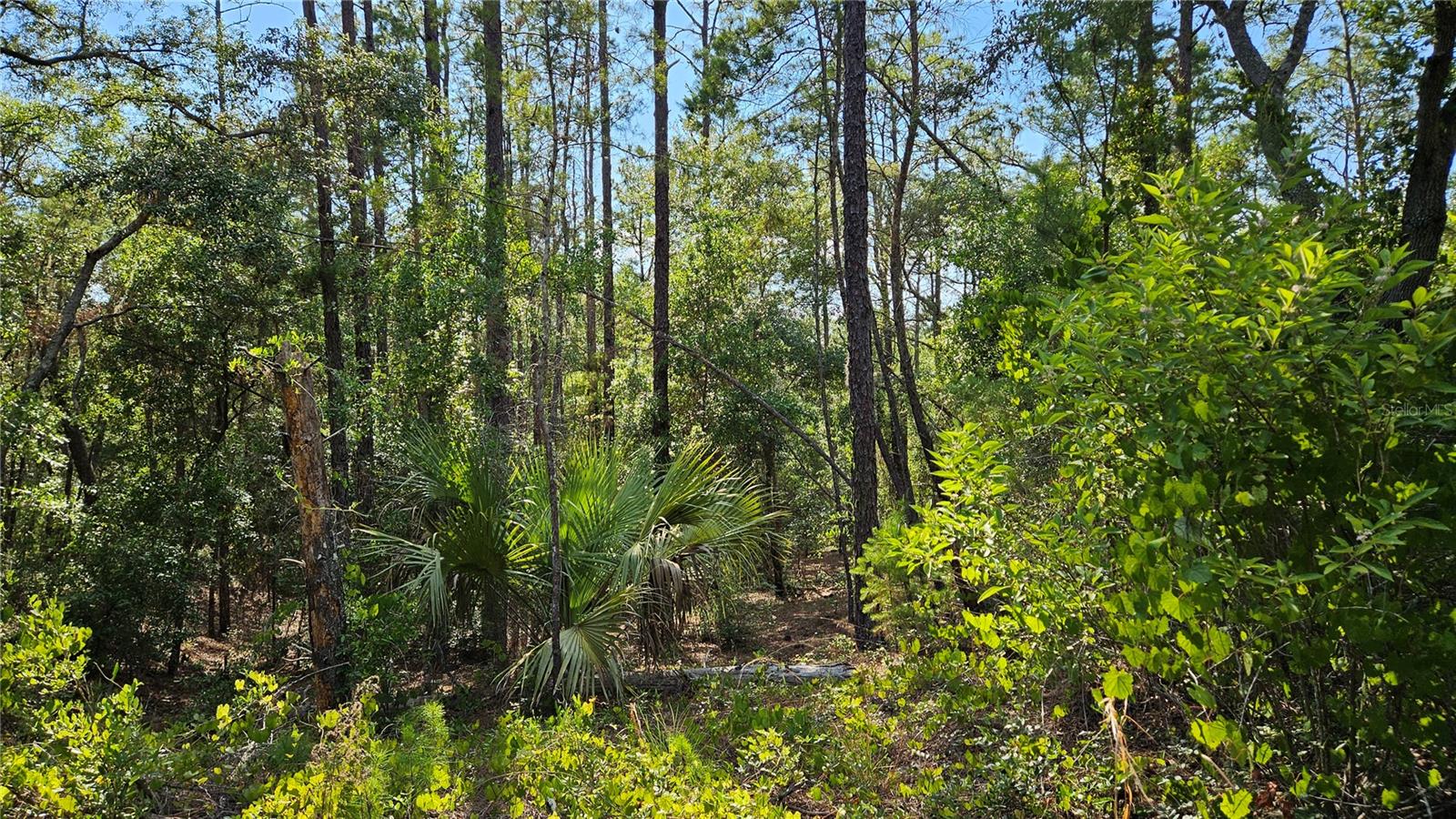 Lot 12 SW 87TH CIR, OCALA, FL, 34474