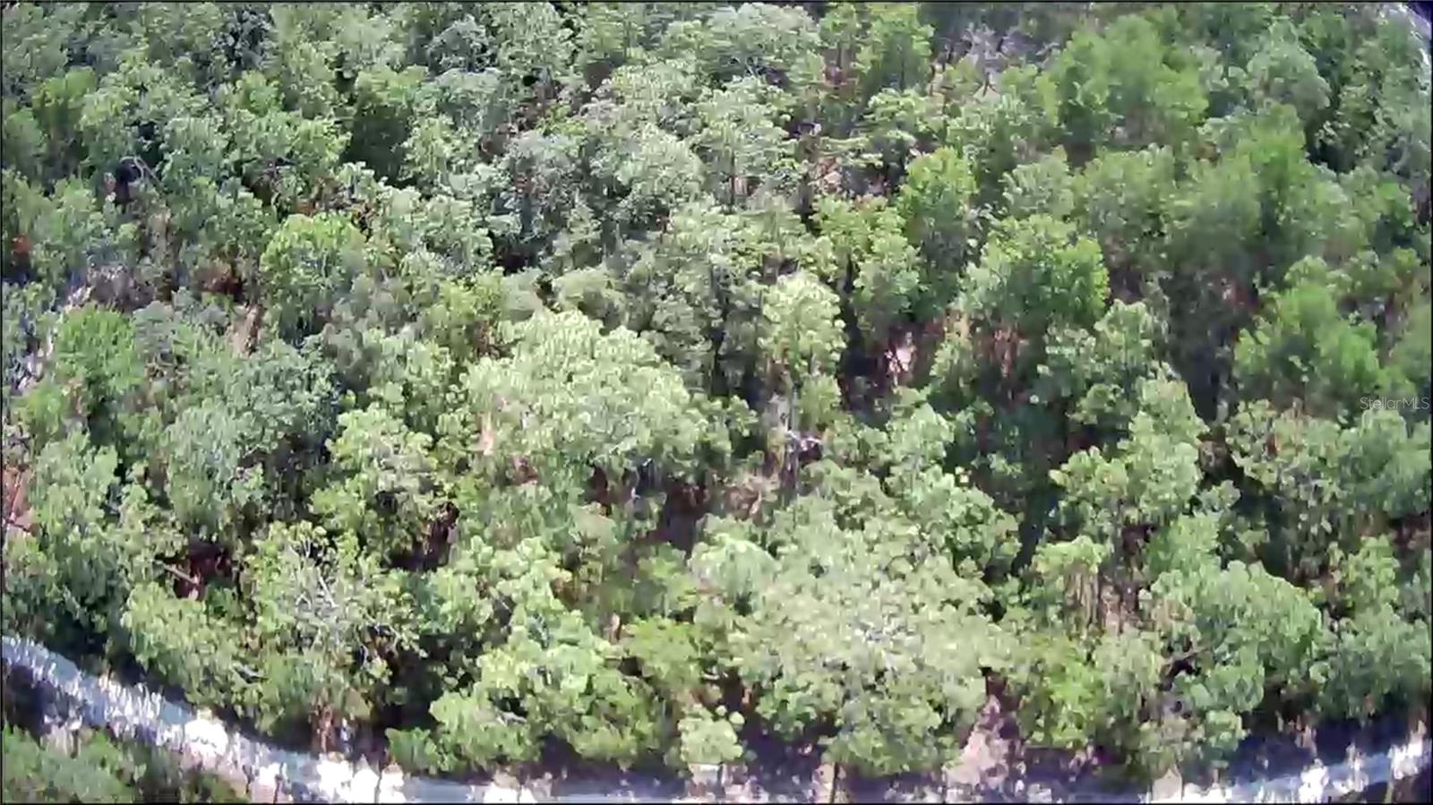 Lot 12 SW 87TH CIR, OCALA, FL, 34474