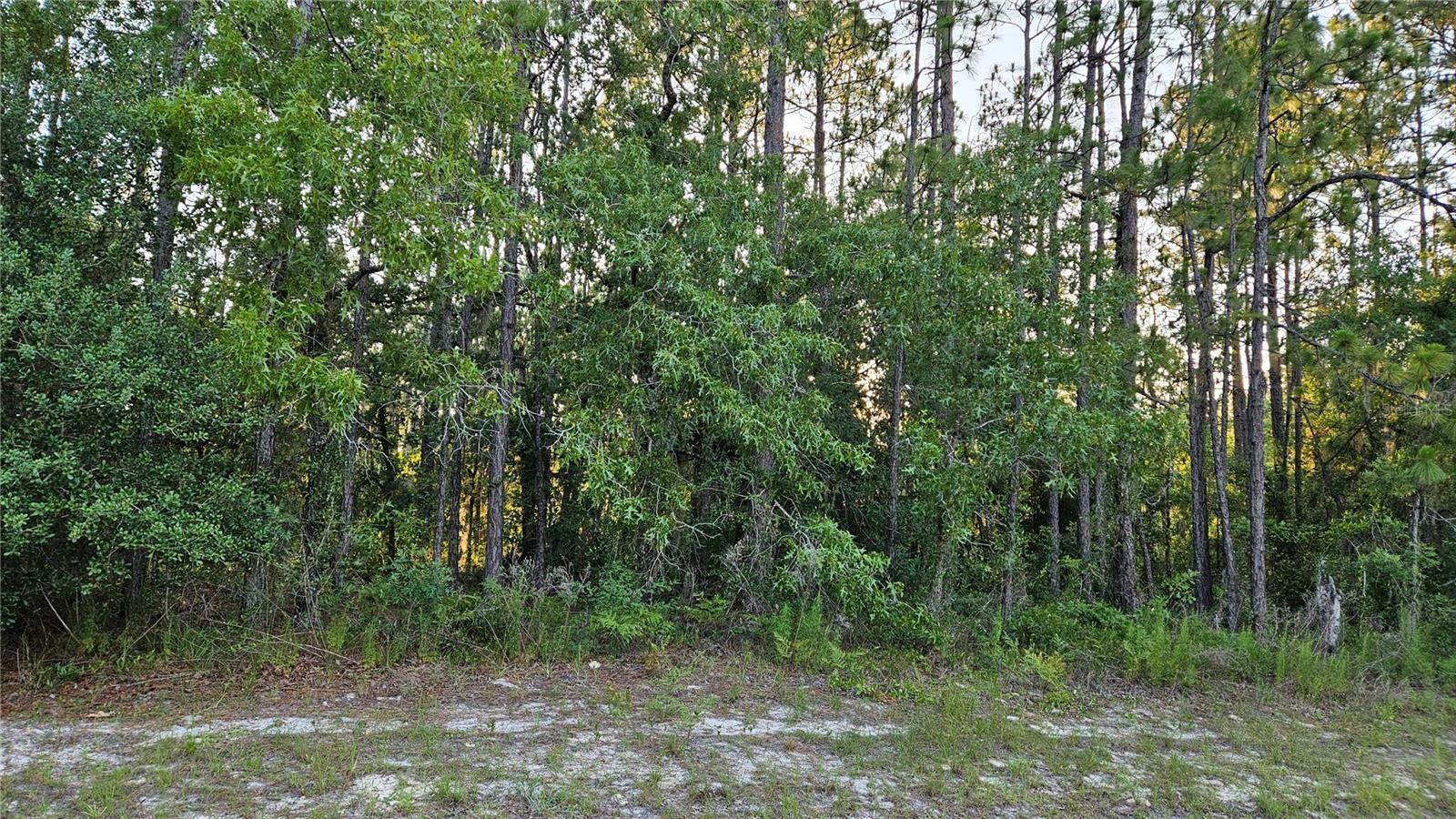 Lot 12 SW 87TH CIR, OCALA, FL, 34474