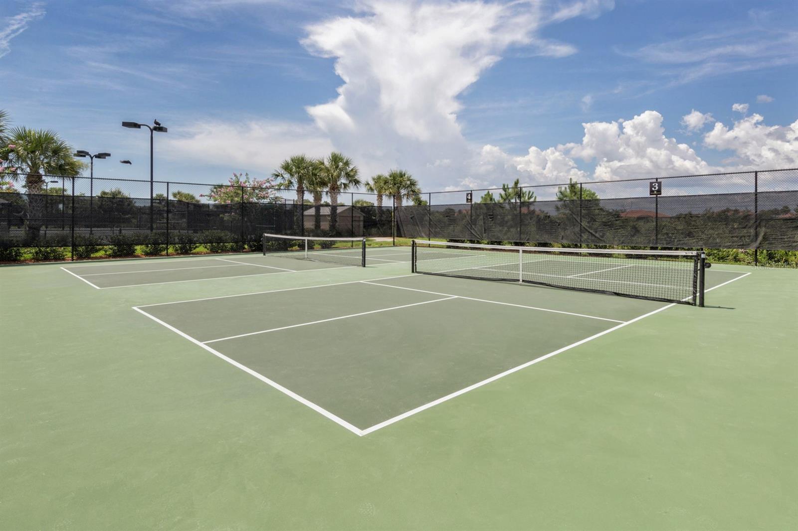 10805 WHISK FERN DR, VENICE, FL, 34293