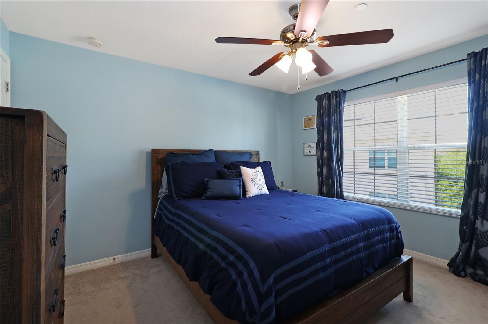 10144 ARBOR RUN DR #144, TAMPA, FL, 33647