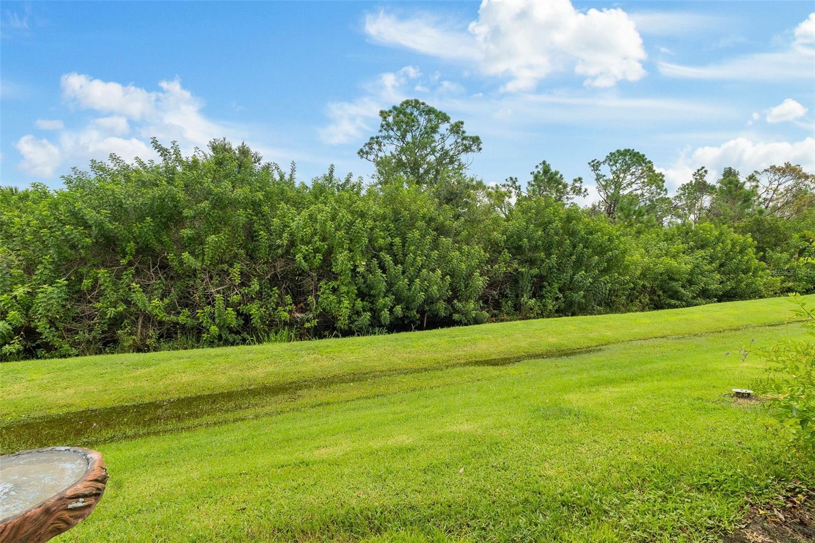 13266 SW PEMBROKE CIR N, LAKE SUZY, FL, 34269