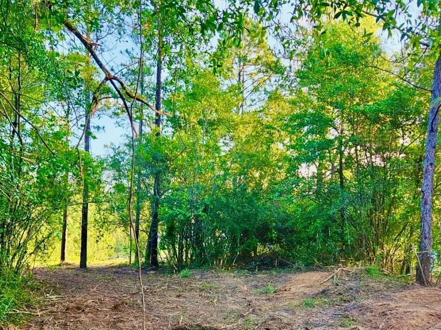 PINETREE LN, DEFUNIAK SPRINGS, FL, 32433