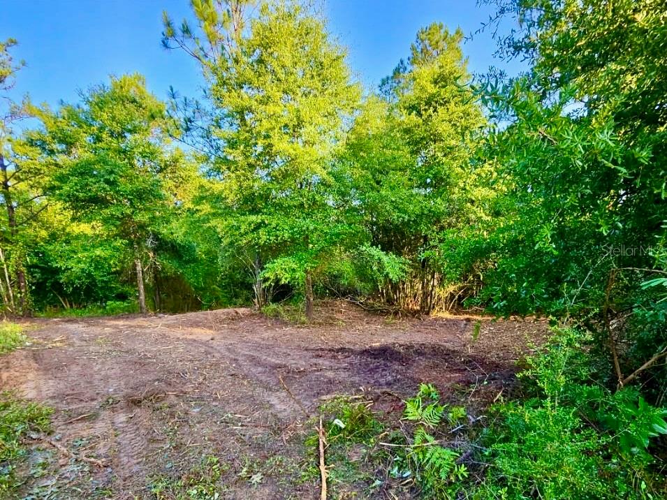 PINETREE LN, DEFUNIAK SPRINGS, FL, 32433